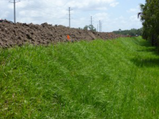 四川巴中多雨潮濕，土工格柵為道路擴建出力  第2張