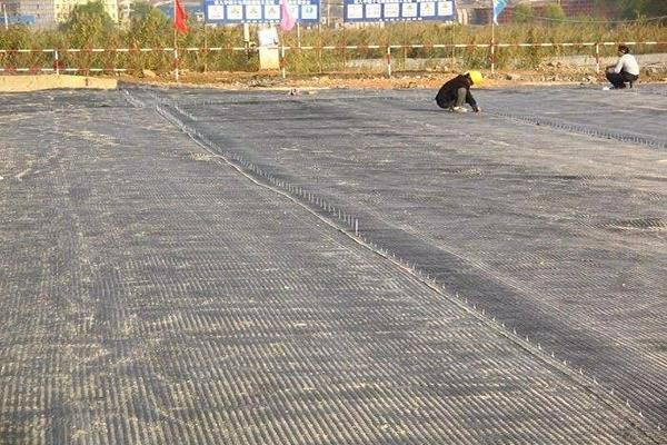 在高速公路施工中土工格柵應該怎么應用呢？  第2張